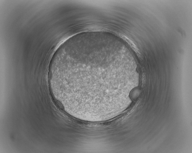 X0000115151465200912081336