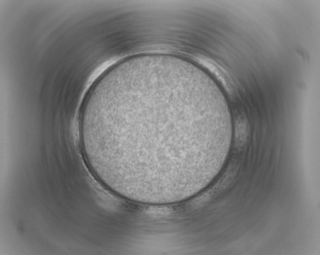 X0000115151466200912081336