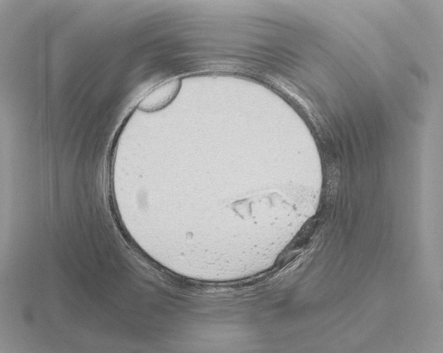 X0000115151467200912081336