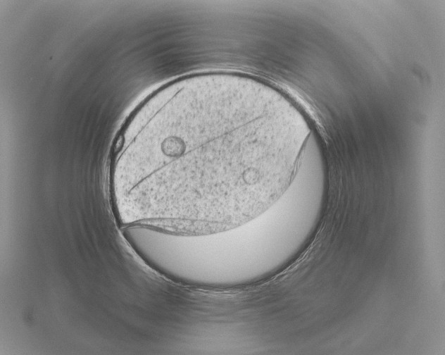 X0000115151468200912081336