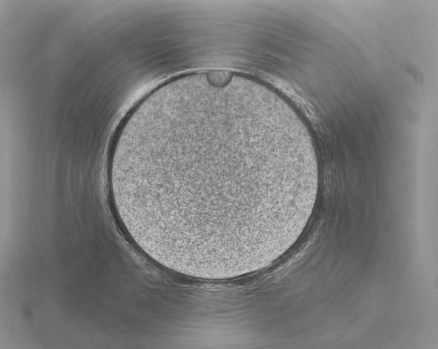 X0000115151469200912081336