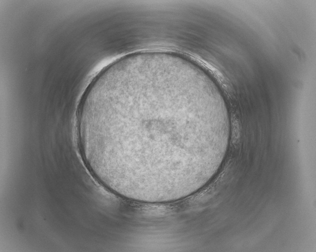 X0000115151470200912081336