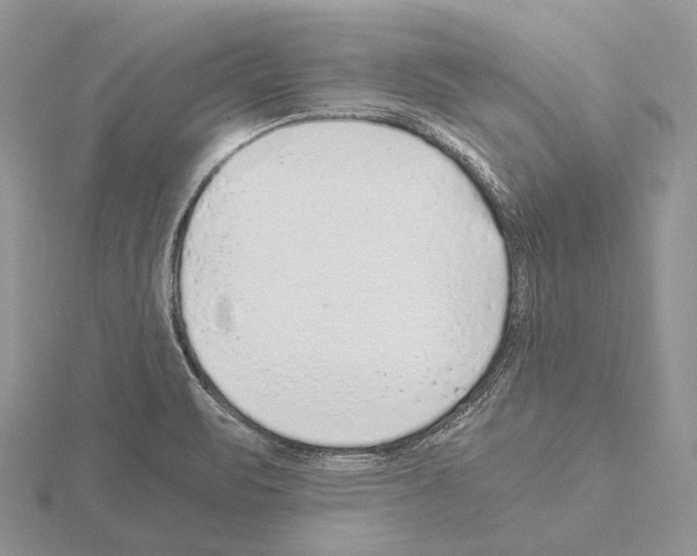 X0000115151471200912081336