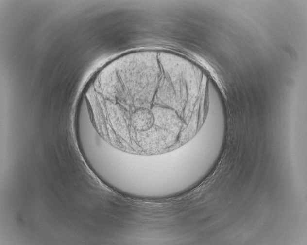 X0000115151472200912081336