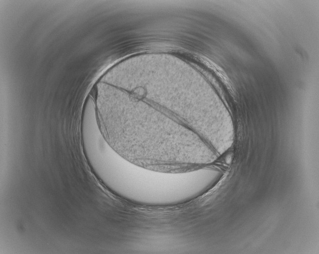 X0000115151473200912081336