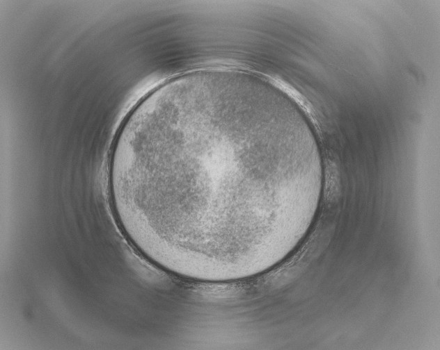 X0000115151474200912081336