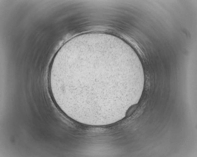 X0000115151475200912081336