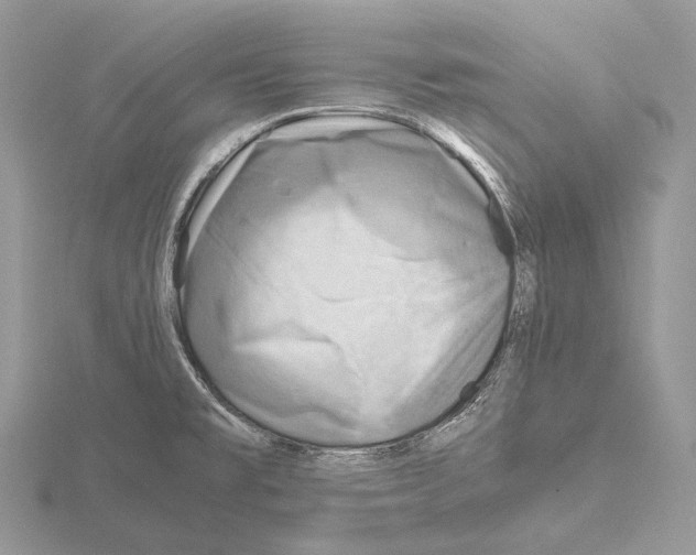 X0000115151477200912081336