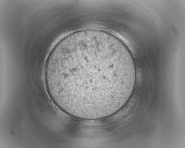 X0000115151478200912081336