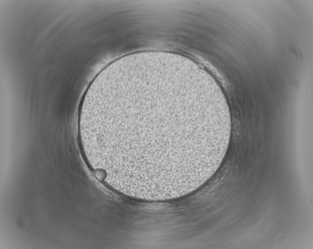 X0000115151479200912081336