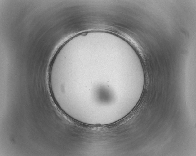 X0000115151480200912081336