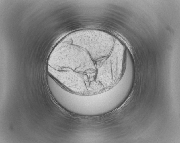 X0000115151481200912081336