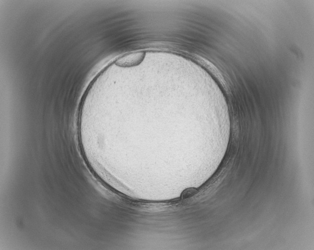 X0000115151482200912081336