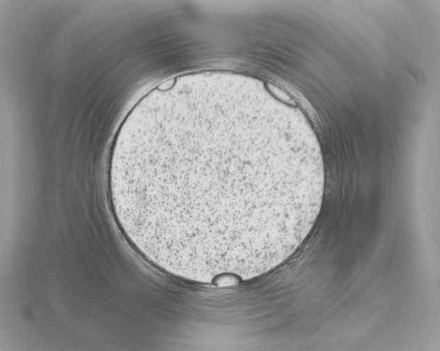 X0000115151483200912081336