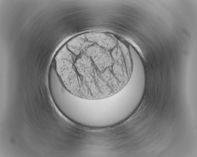 X0000115151484200912081336