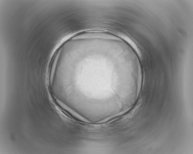 X0000115151485200912081336