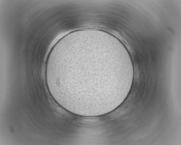 X0000115151486200912081336