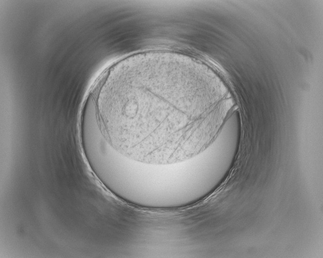 X0000115151488200912081336