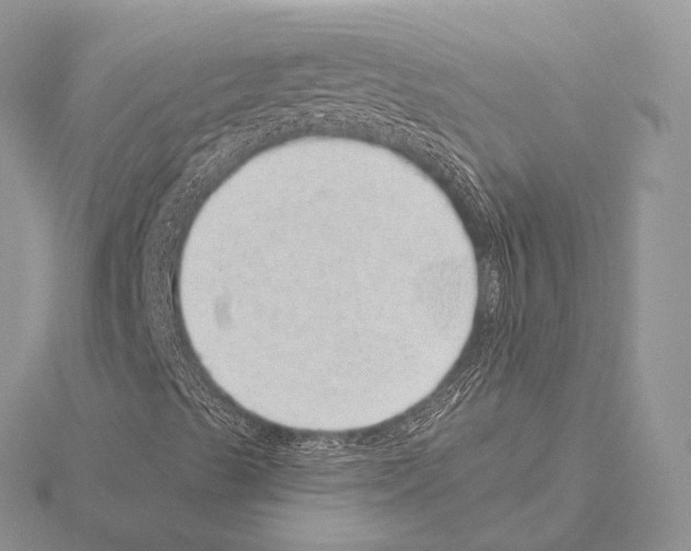 X0000115151489200912081335