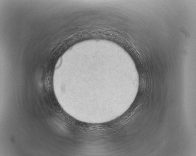 X0000115151490200912081335