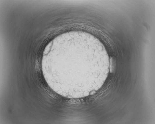 X0000115151491200912081335