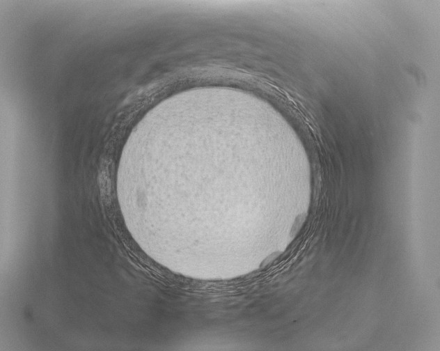 X0000115151493200912081335