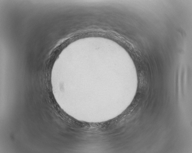 X0000115151494200912081335