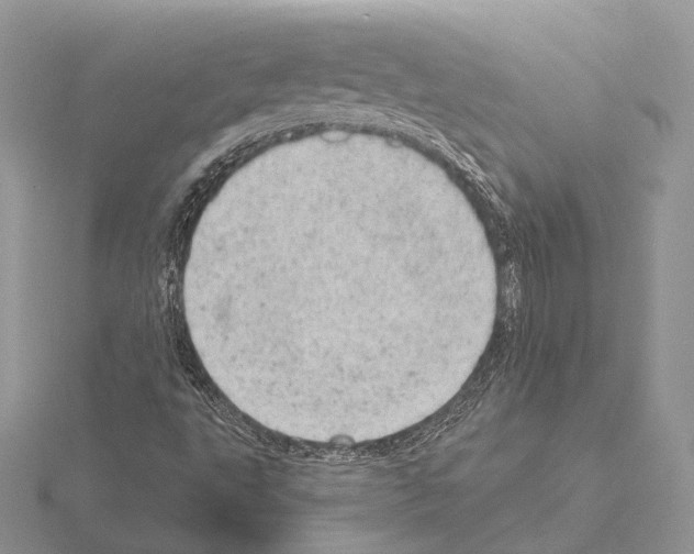 X0000115151495200912081335