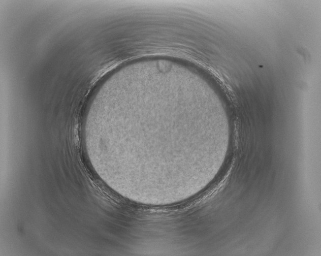 X0000115151497200912081336