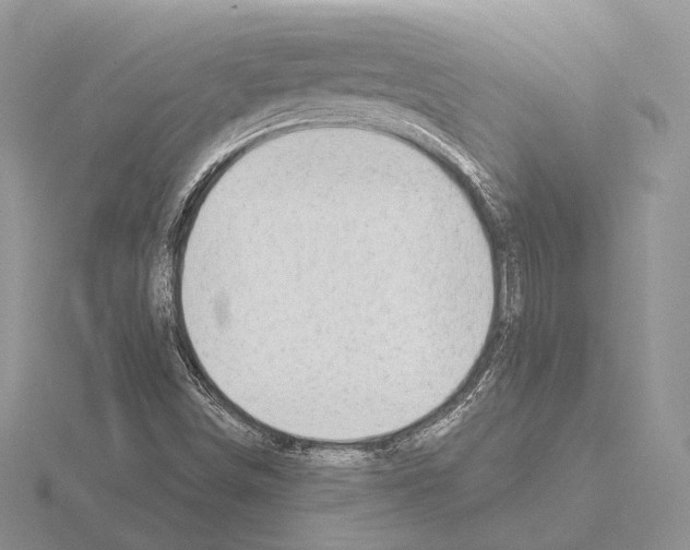 X0000115151498200912081336