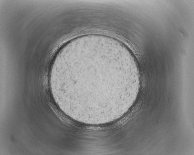 X0000115151499200912081336