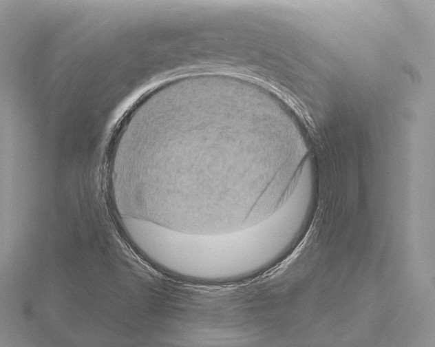 X0000115151502200912081336