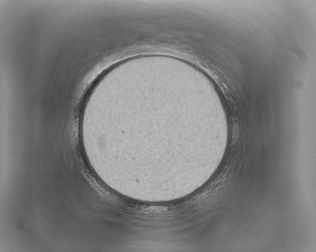 X0000115151503200912081336