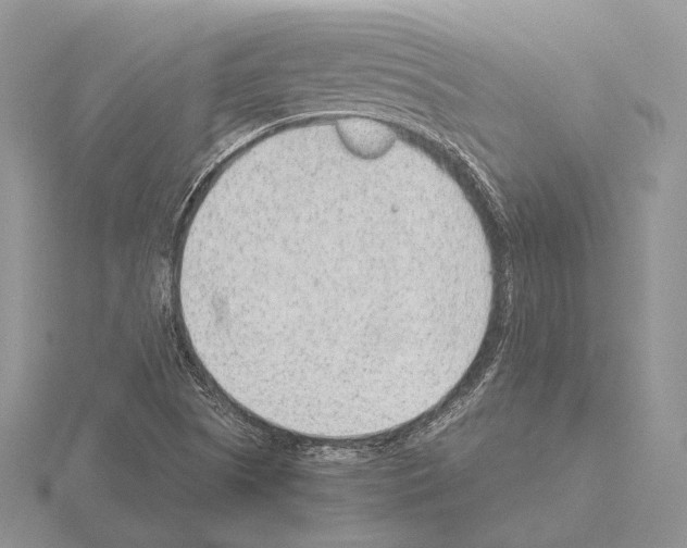 X0000115151505200912081336