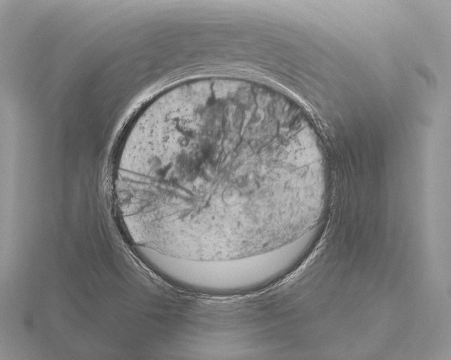 X0000115151506200912081336