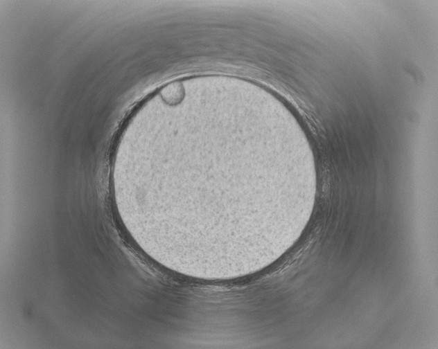 X0000115151507200912081336