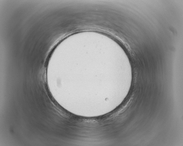 X0000115151509200912081336