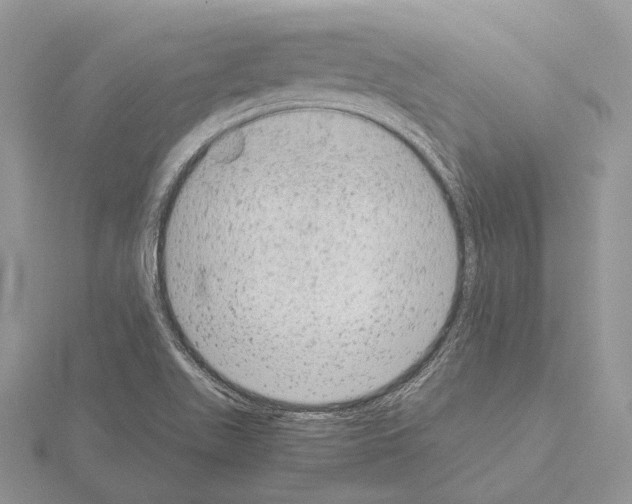 X0000115151511200912081336