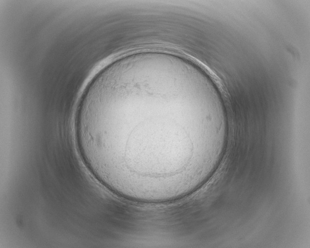 X0000115151514200912081336