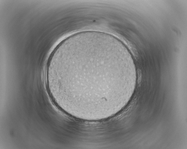 X0000115151515200912081336