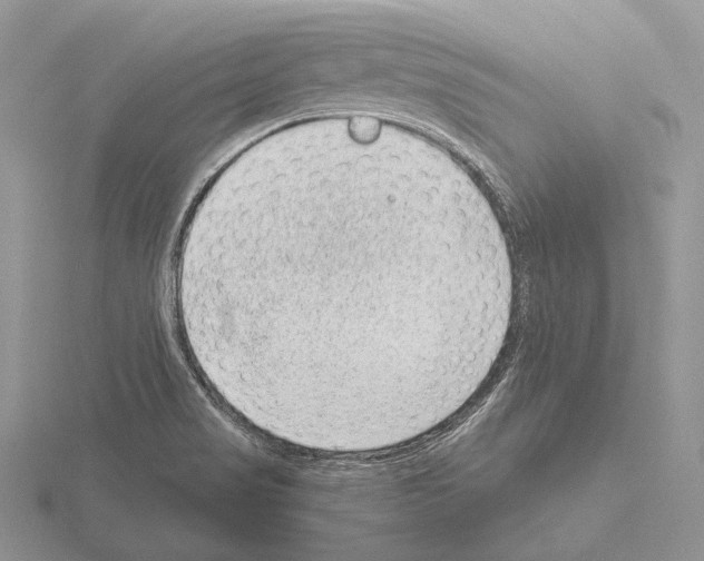 X0000115151517200912081336