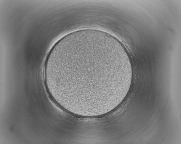 X0000115151519200912081336