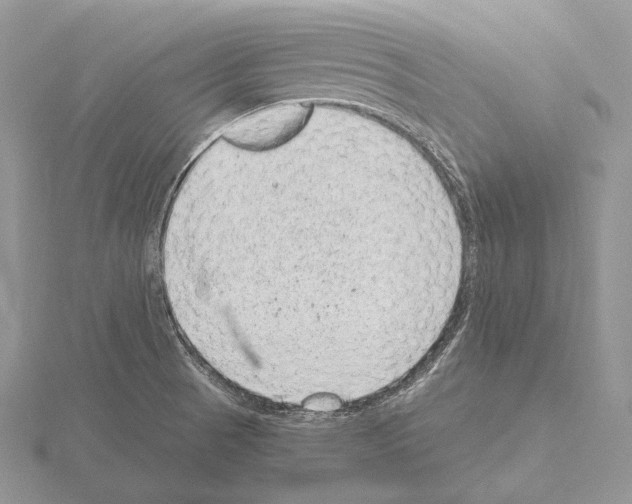 X0000115151521200912081336