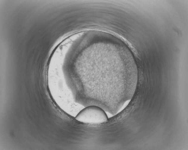 X0000115151522200912081336