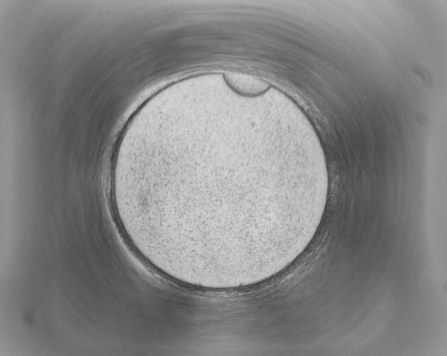 X0000115151523200912081336