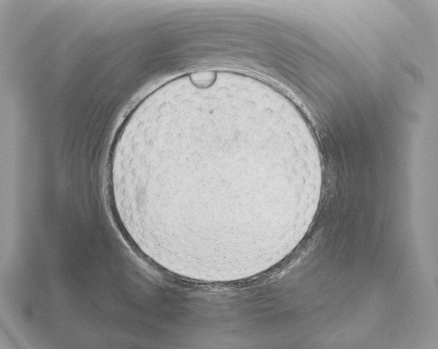 X0000115151525200912081336