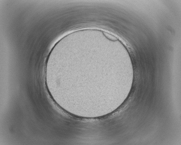 X0000115151526200912081336