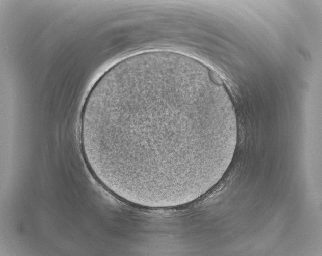 X0000115151527200912081336