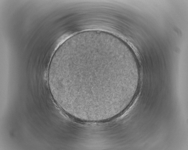 X0000115151529200912081336