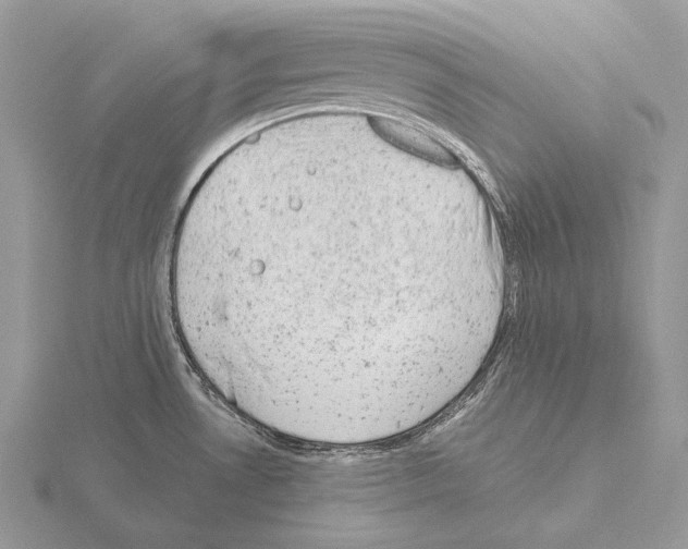 X0000115151530200912081336